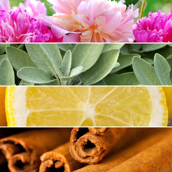 5 REASONS TO SWAP YOUR SCENTS